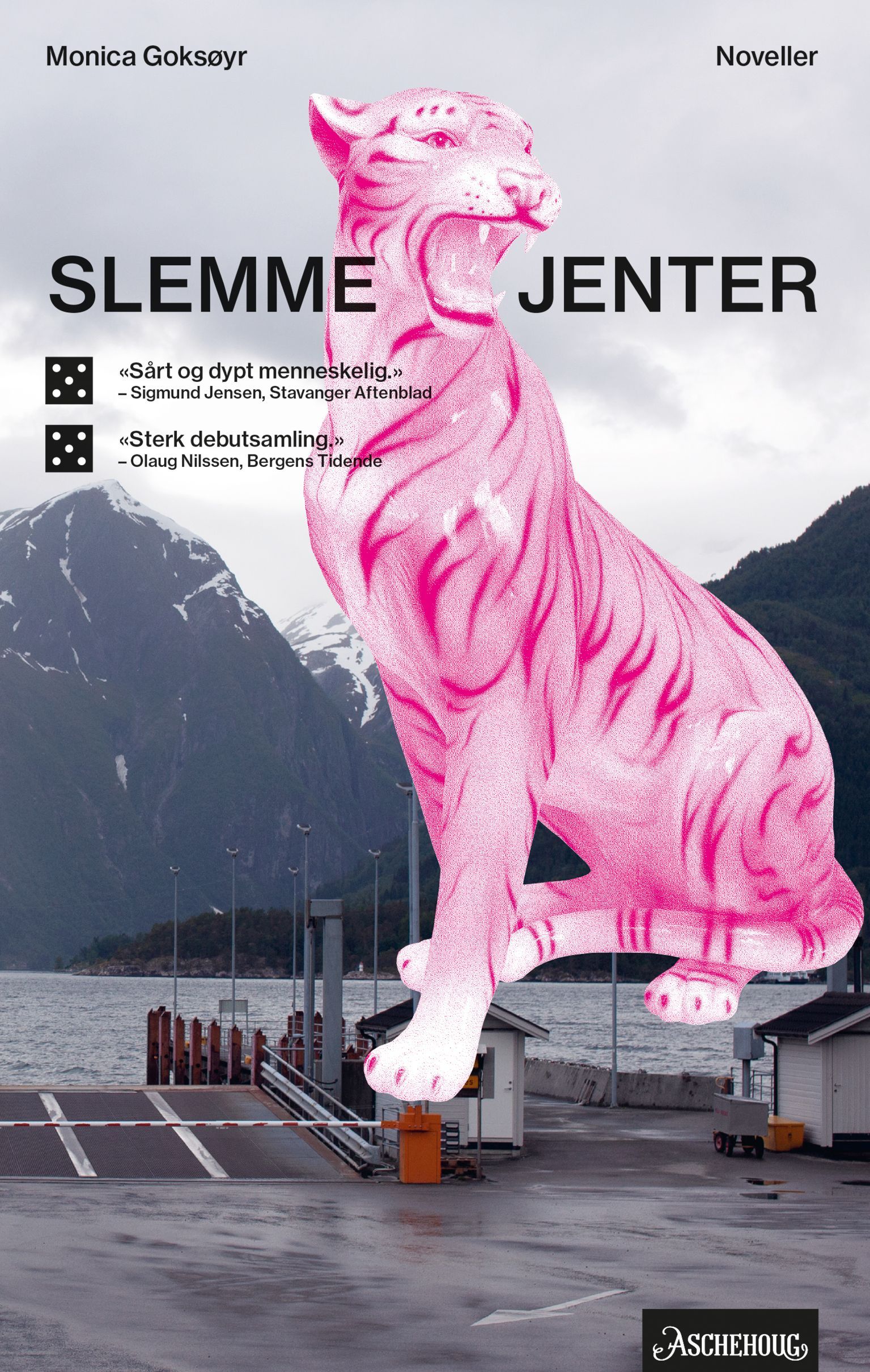 Slemme jenter : noveller