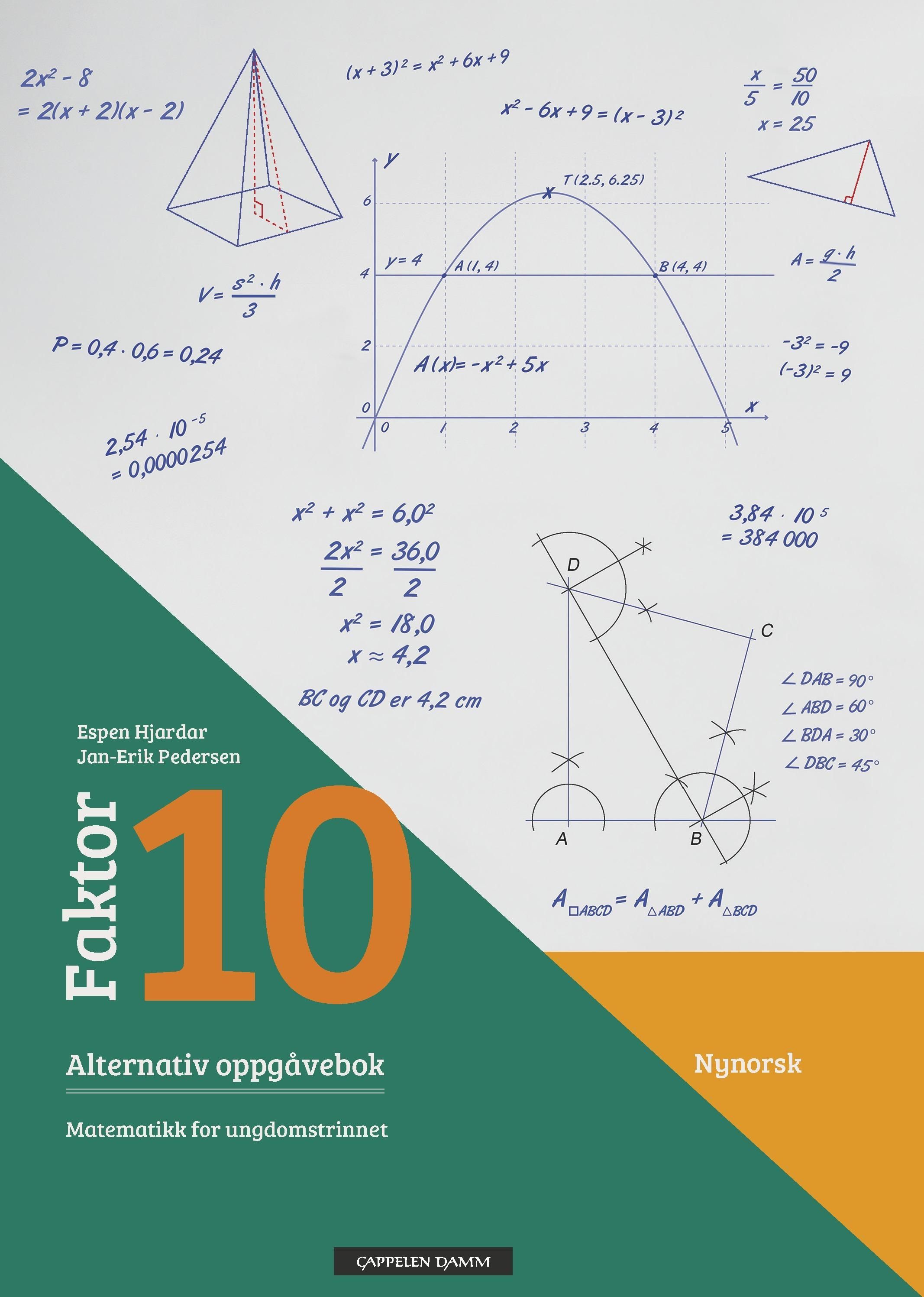 Faktor 10 : matematikk for ungdomstrinnet. Alternativ oppgåvebok
