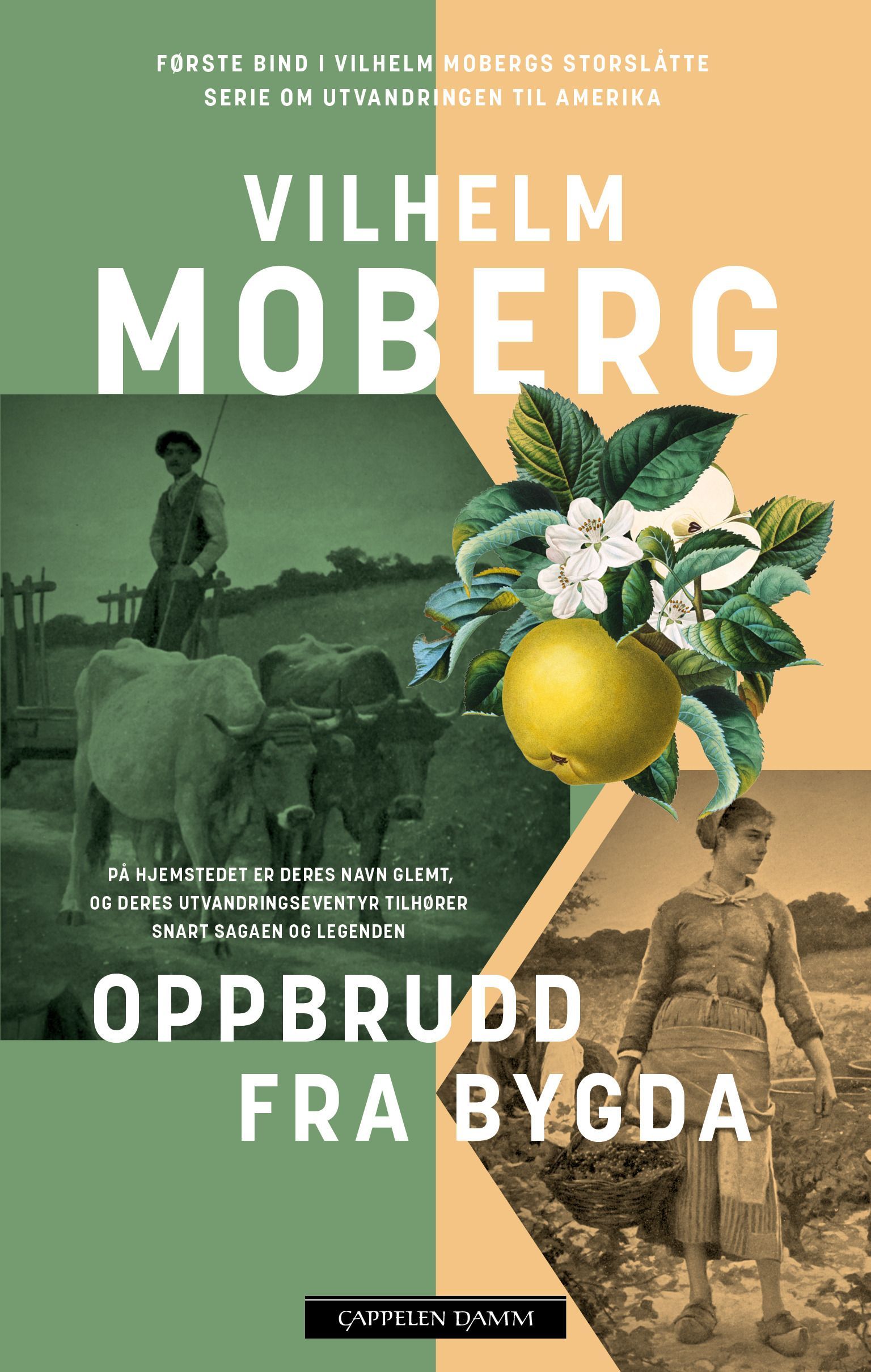 Oppbrudd fra bygda : utvandrerne 1
