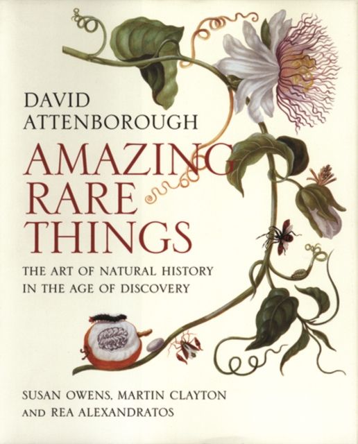 Amazing rare things : the art of natural history in the age of discovery
