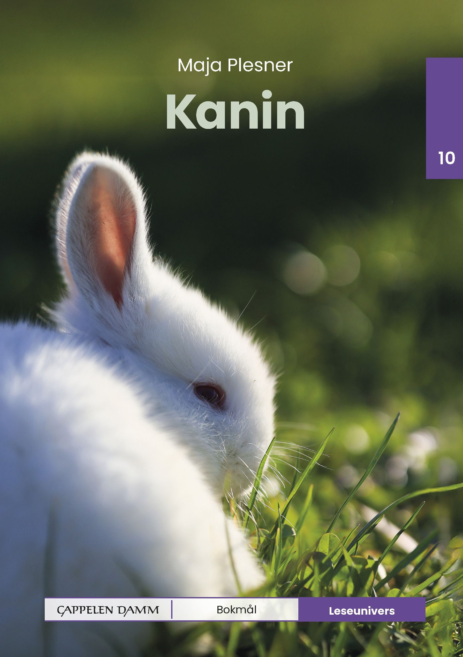 Kanin : nivå 10