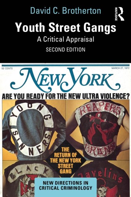 Youth Street Gangs : A Critical Appraisal