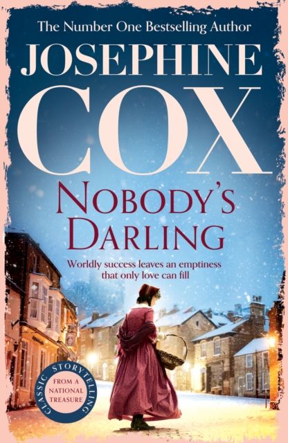 Forsidebilde av Nobody's Darling : A captivating saga of family, friendship and love