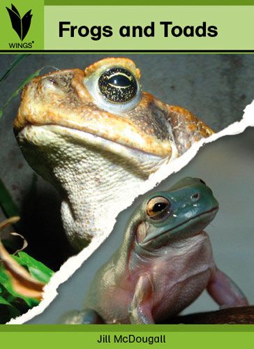 Frogs and toads