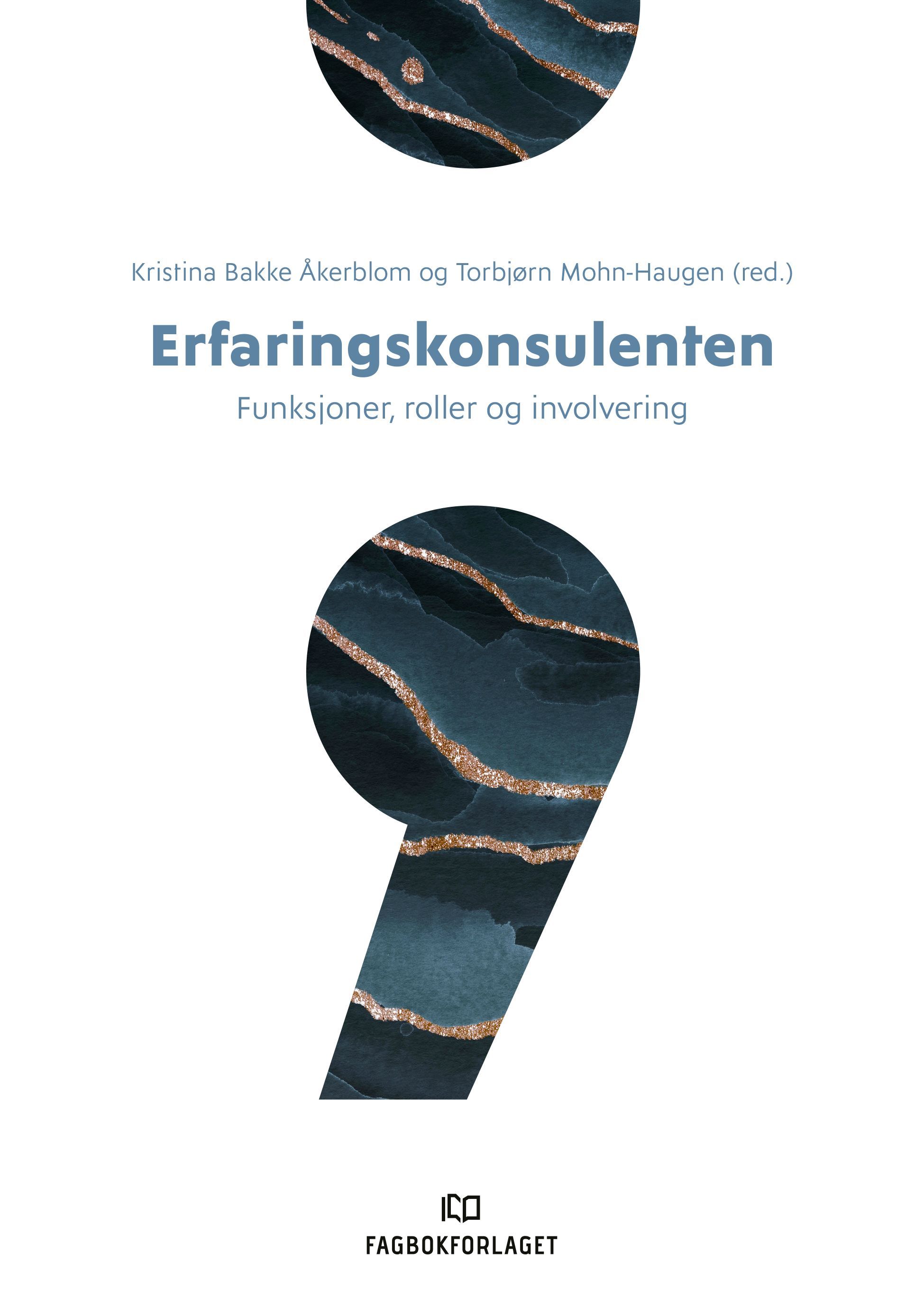 Erfaringskonsulenten : funksjoner, roller og involvering