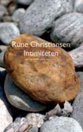 Intimiteten : roman