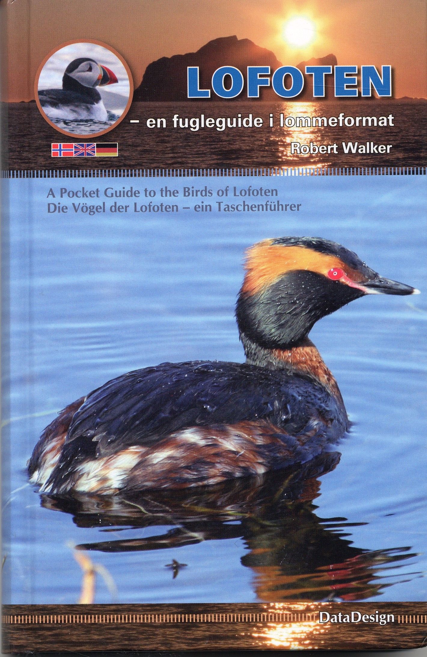 Lofoten : en fugleguide i lommeformat