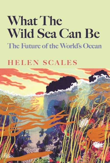 What the wild sea can be : the future of the world's ocean