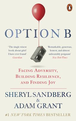 Option B : facing adversity, building resilience, and finding joy