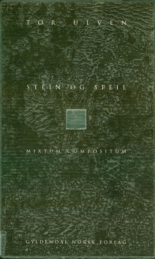 Stein og speil : mixtum compositum