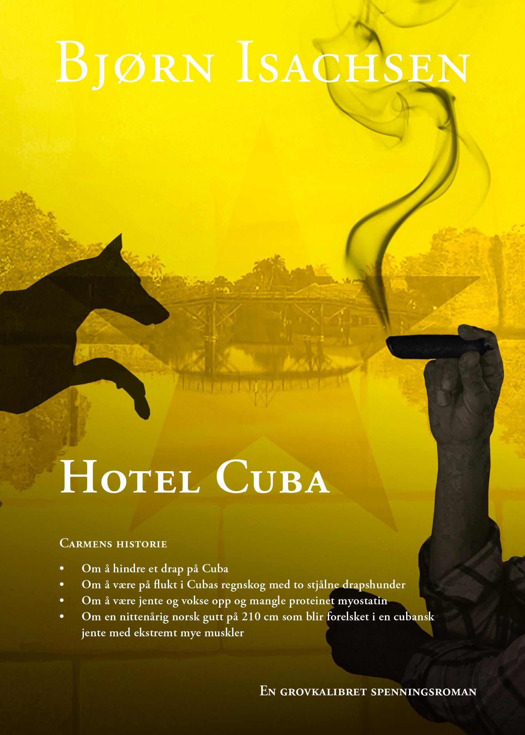 Forsidebilde av Hotel Cuba : Carmens historie : spenningsroman