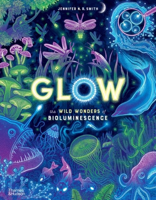 Forsidebilde av Glow : The wild wonders of bioluminescence