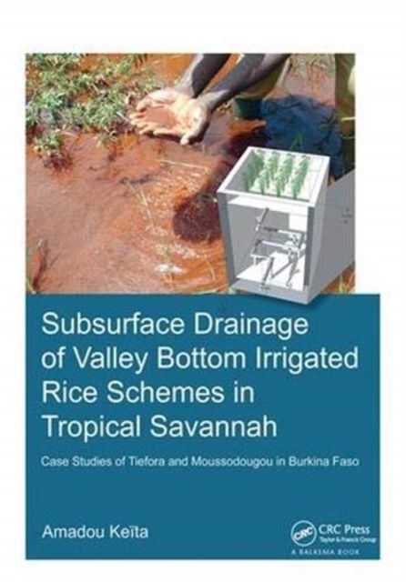 Subsurface Drainage of Valley Bottom Irrigated Rice Schemes in Tropical Savannah : Case Studies of Tiefora and Moussodougou in Burkina Faso