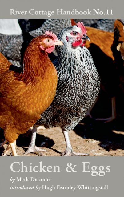 Chicken & Eggs : River Cottage Handbook No.11