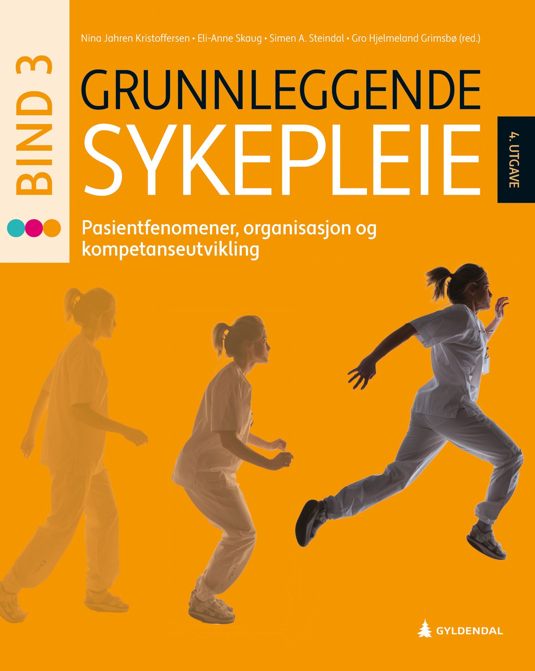 Grunnleggende sykepleie 3 : pasientfenomener, organisasjon og kompetanseutvikling