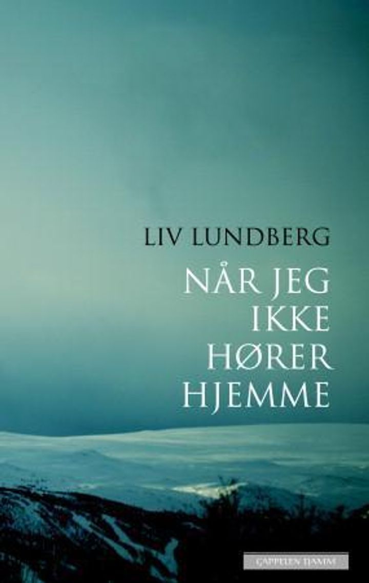 Når jeg ikke hører hjemme : dikt