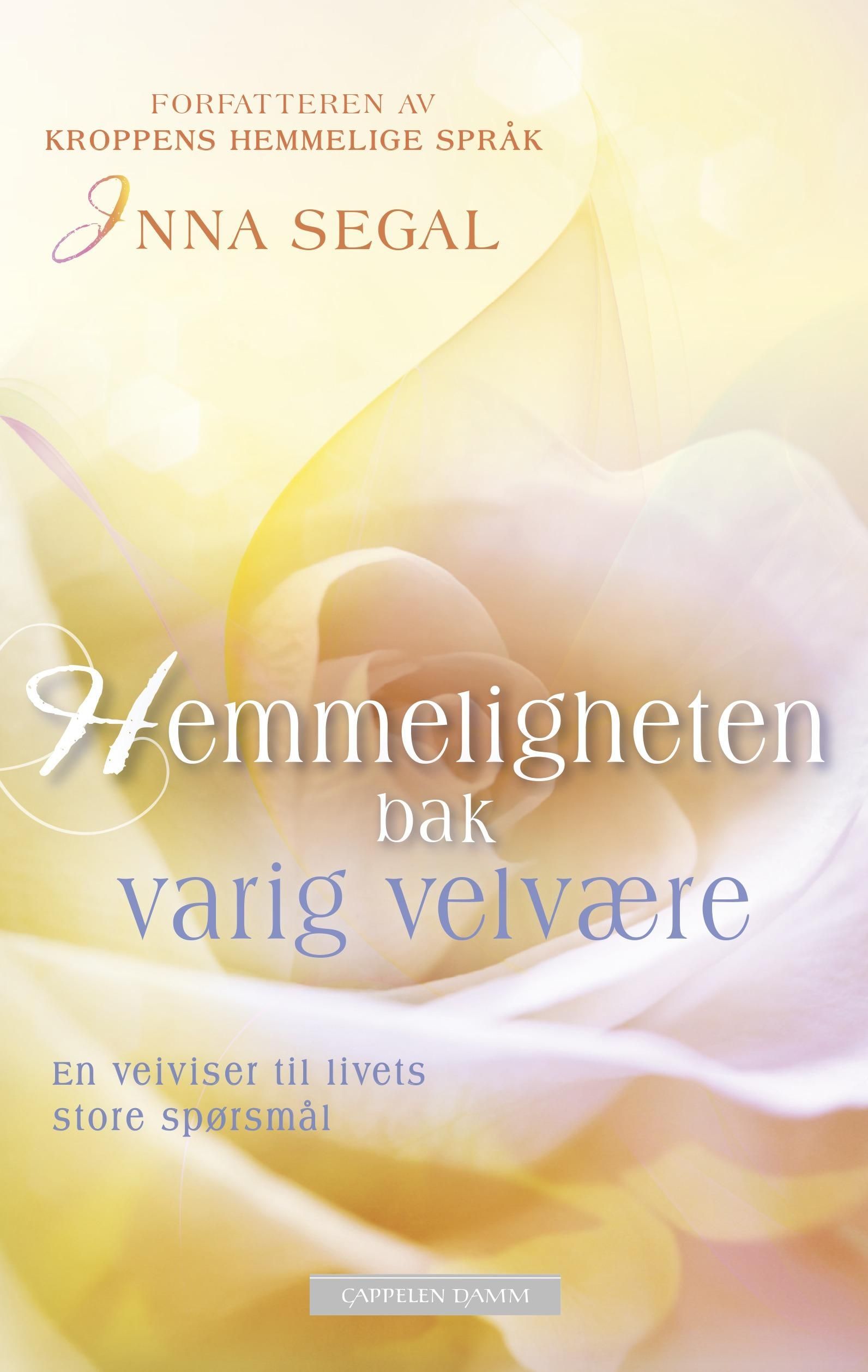 Hemmeligheten bak varig velvære : en veiviser til livets store spørsmål