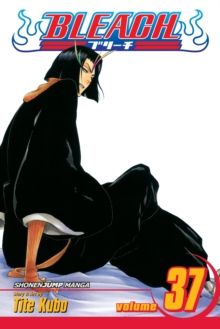 Bleach. vol. 37. Beauty is so solitary