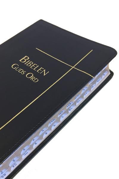 Bibelen : Guds ord
