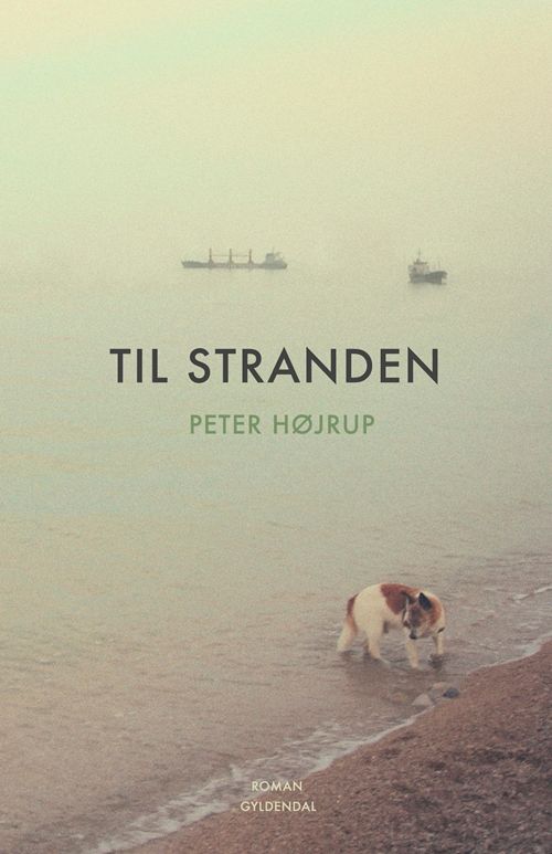 Til stranden : roman