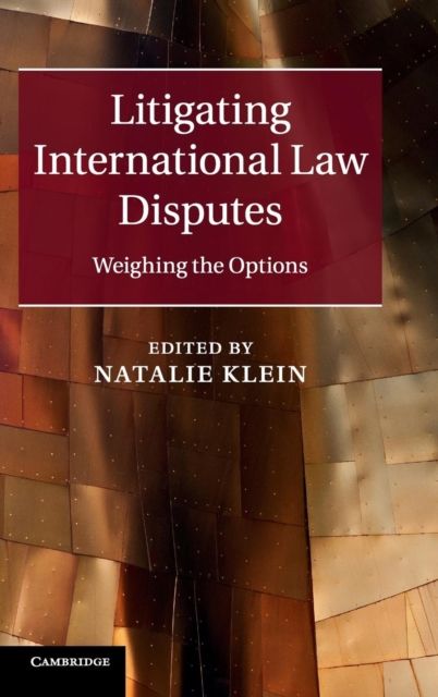 Litigating International Law Disputes : Weighing the Options