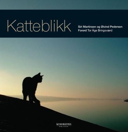 Forsidebilde av Katteblikk