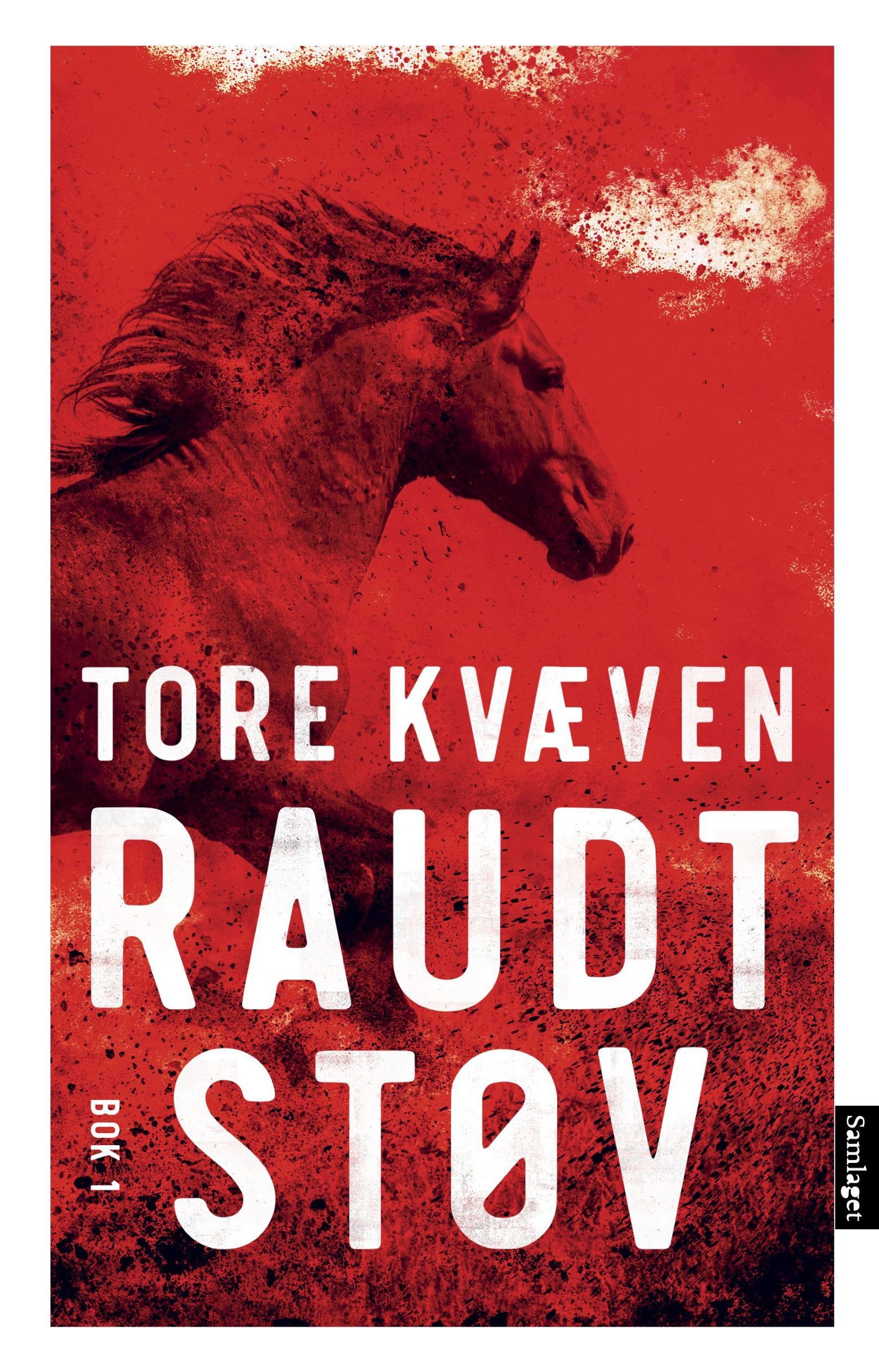 Raudt støv : roman. Bok 1