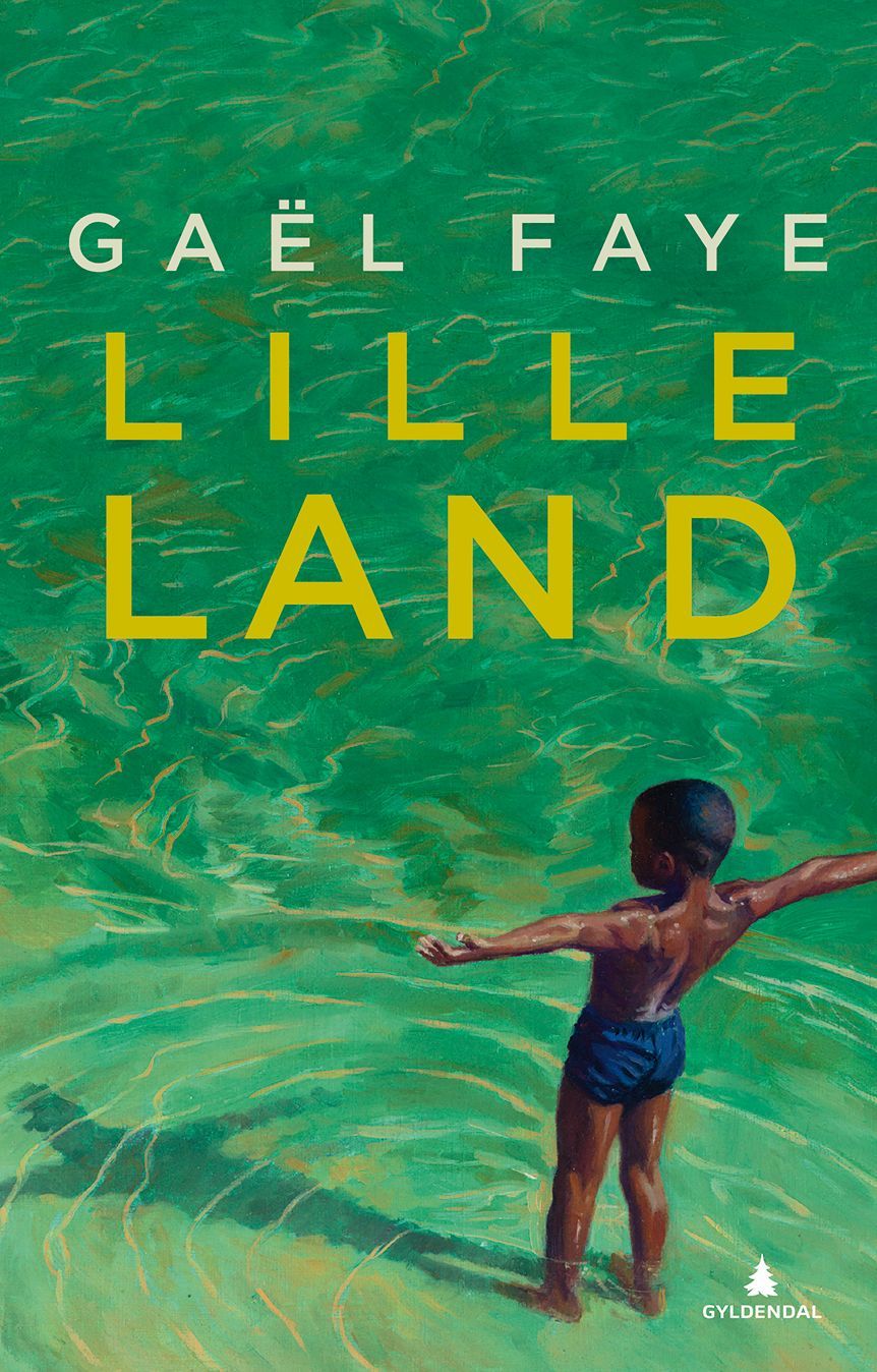 Lille land : roman