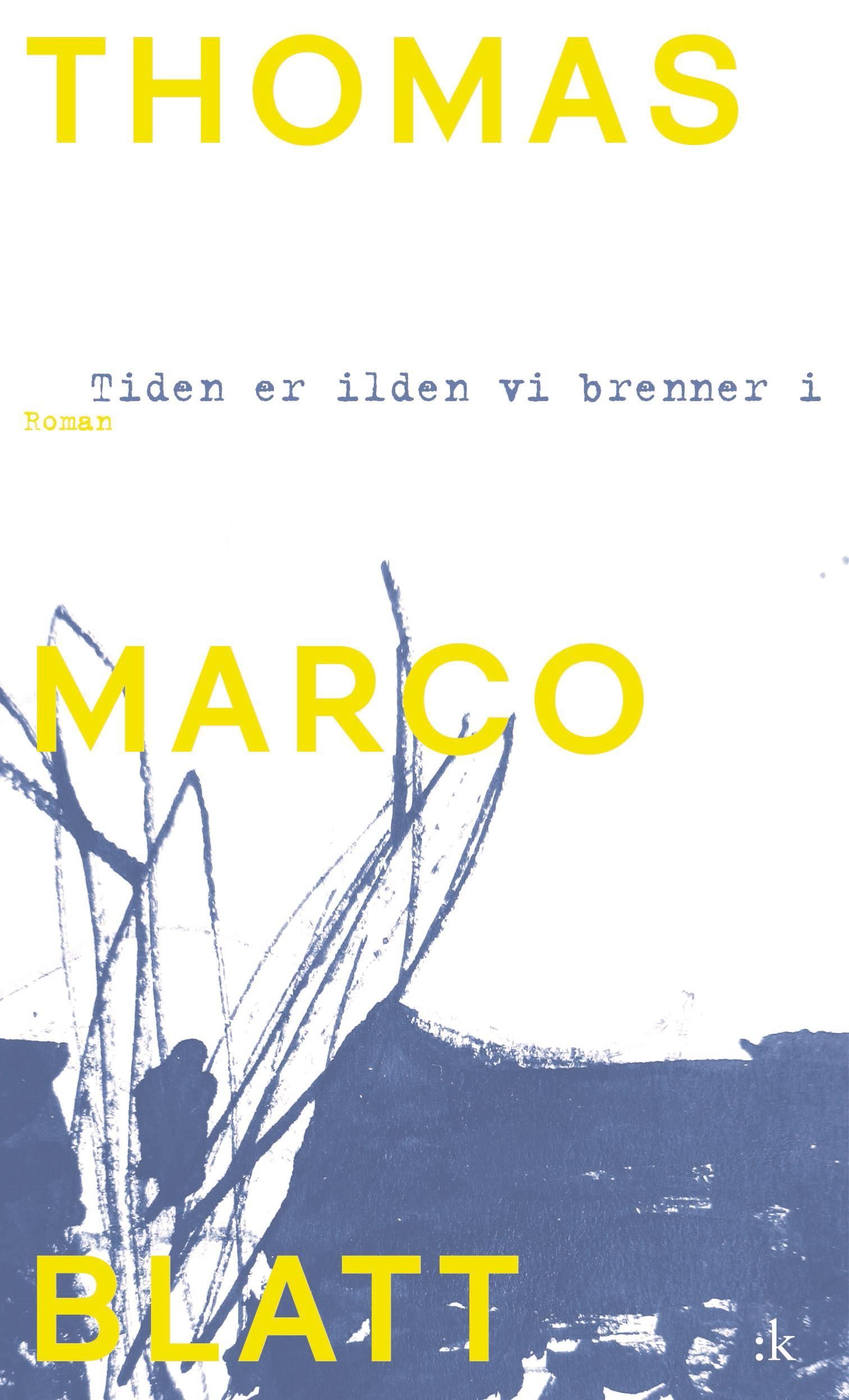 Tiden er ilden vi brenner i : roman