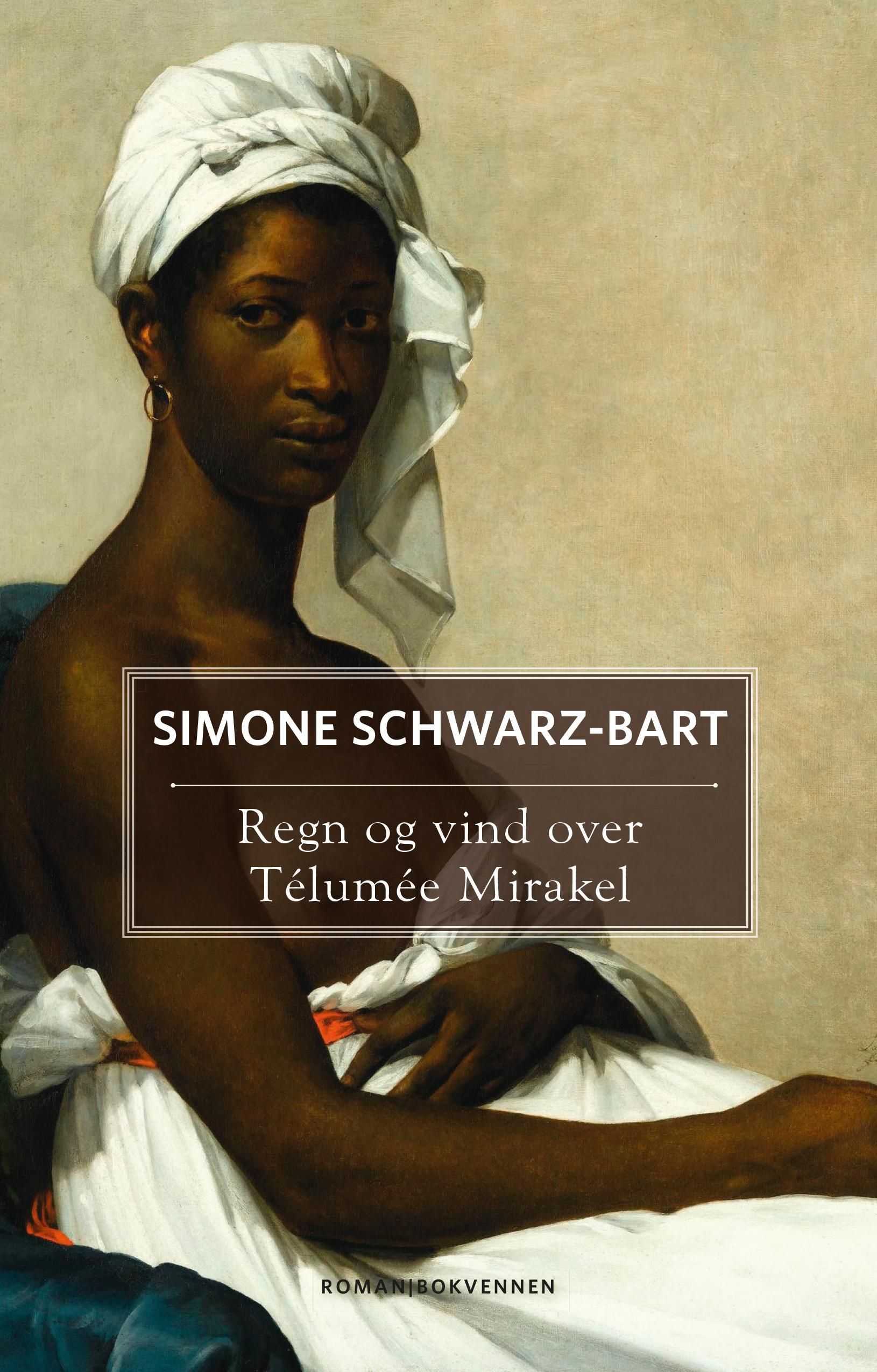 Regn og vind over Télumée Mirakel : roman