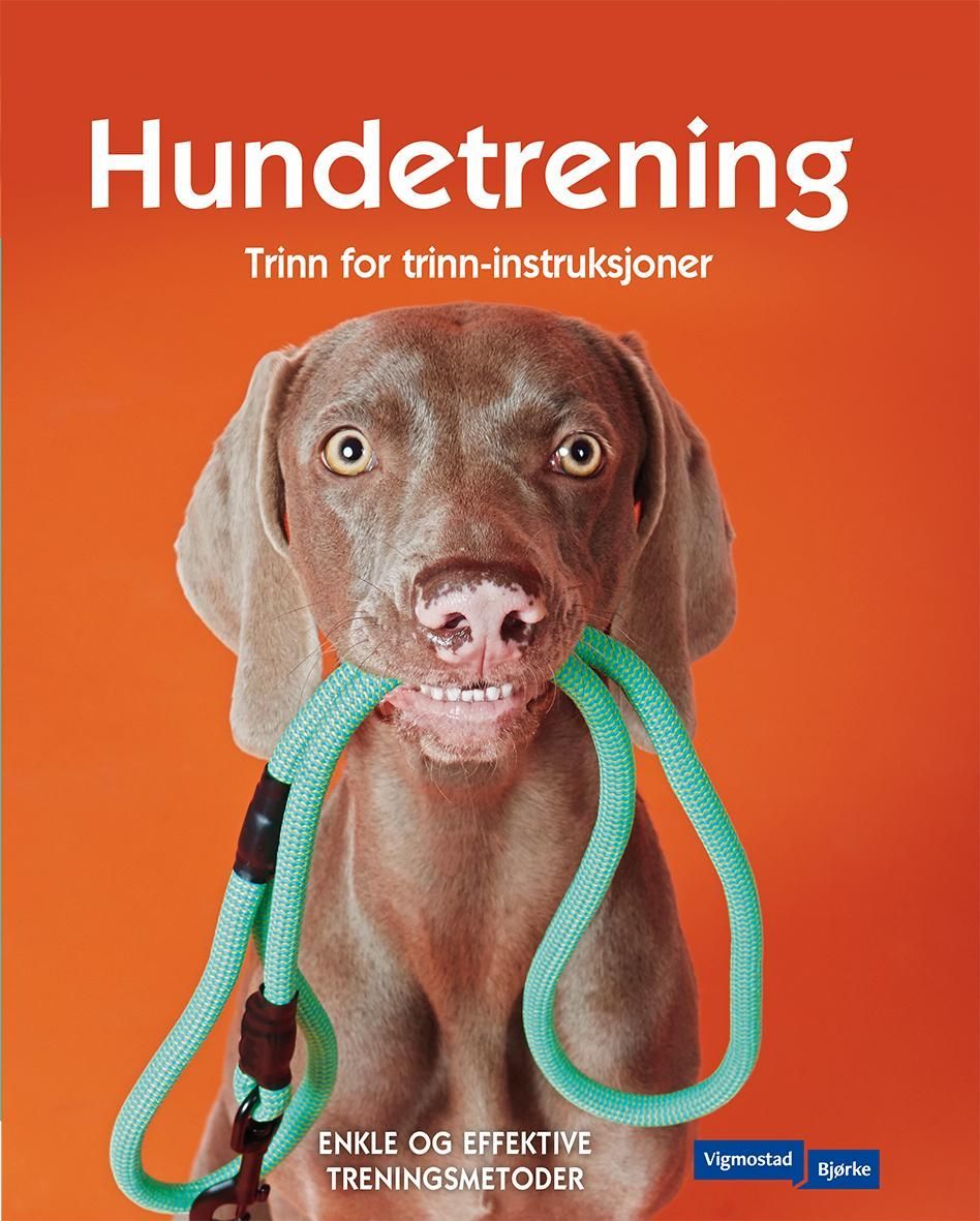 Hundetrening : trinn for trinn-instruksjoner