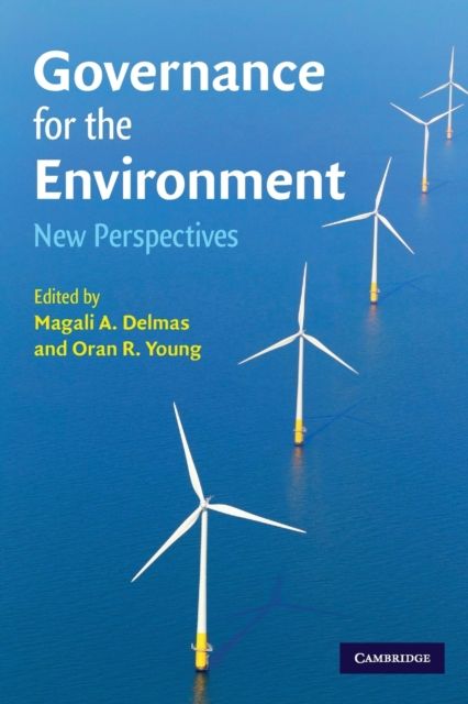 Governance for the Environment : New Perspectives