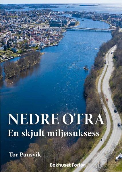 Nedre Otra : en skjult miljøsuksess