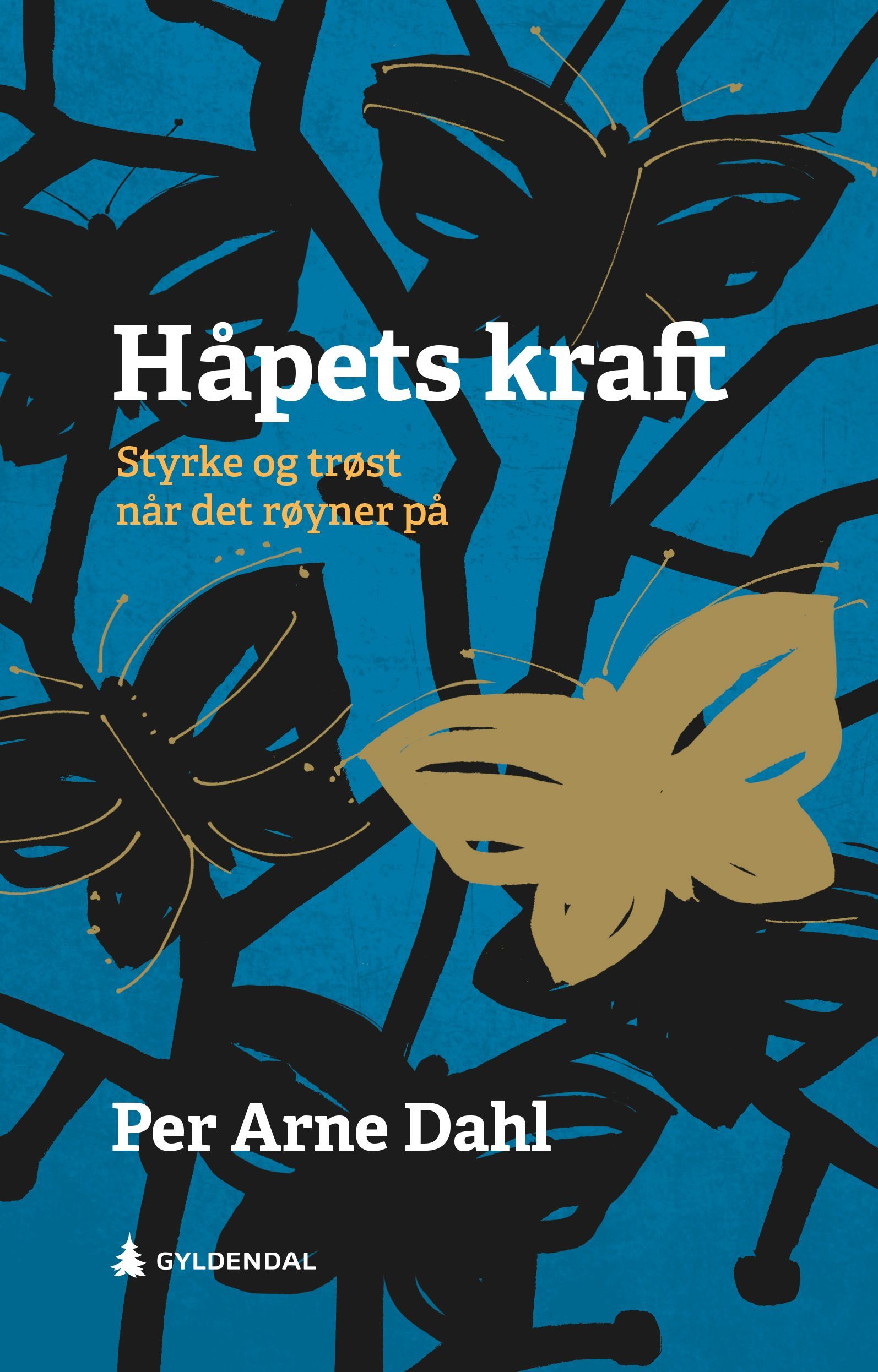 Håpets kraft : styrke og trøst når det røyner på