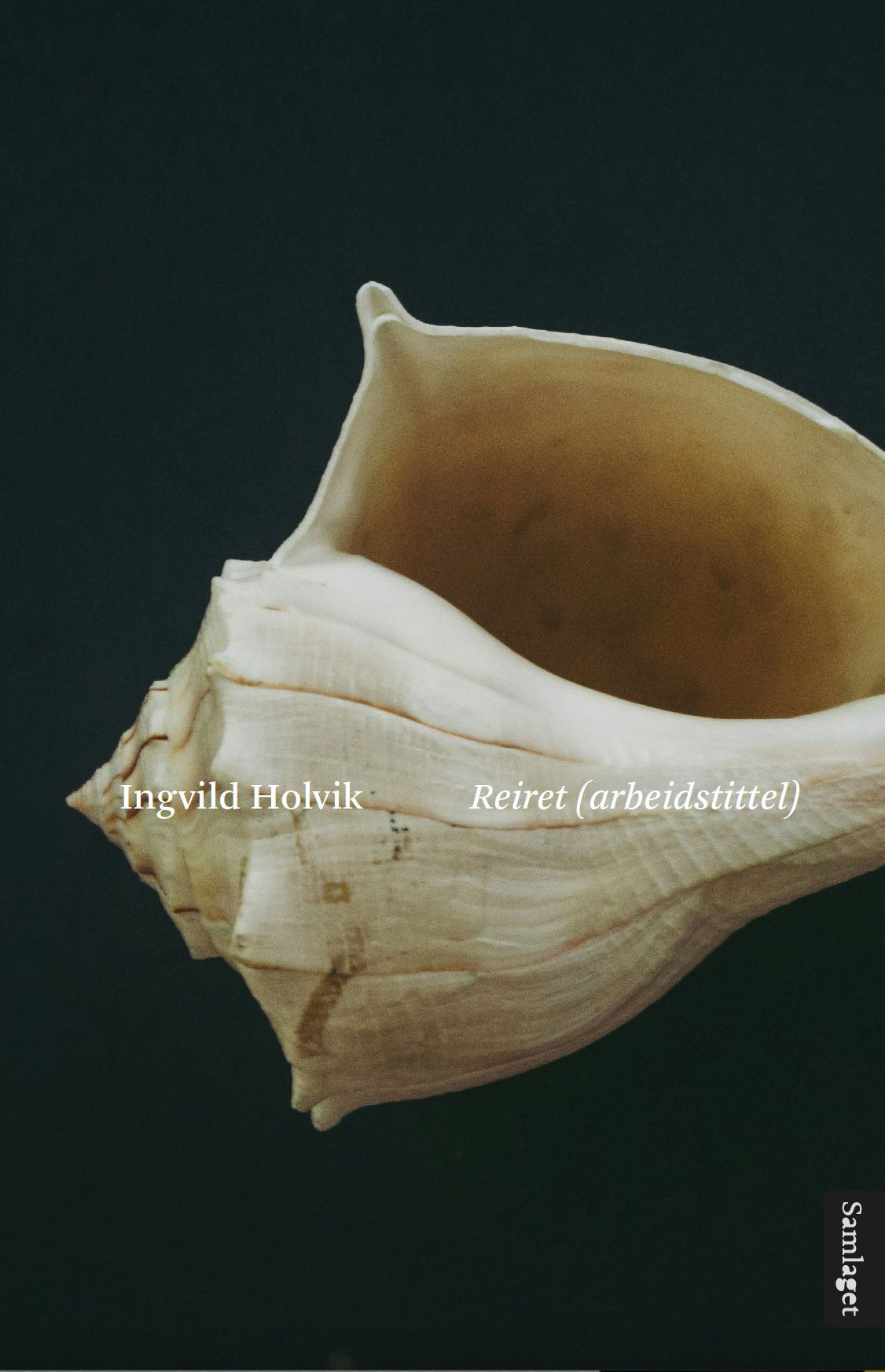 Reiret (arbeidstittel) : roman