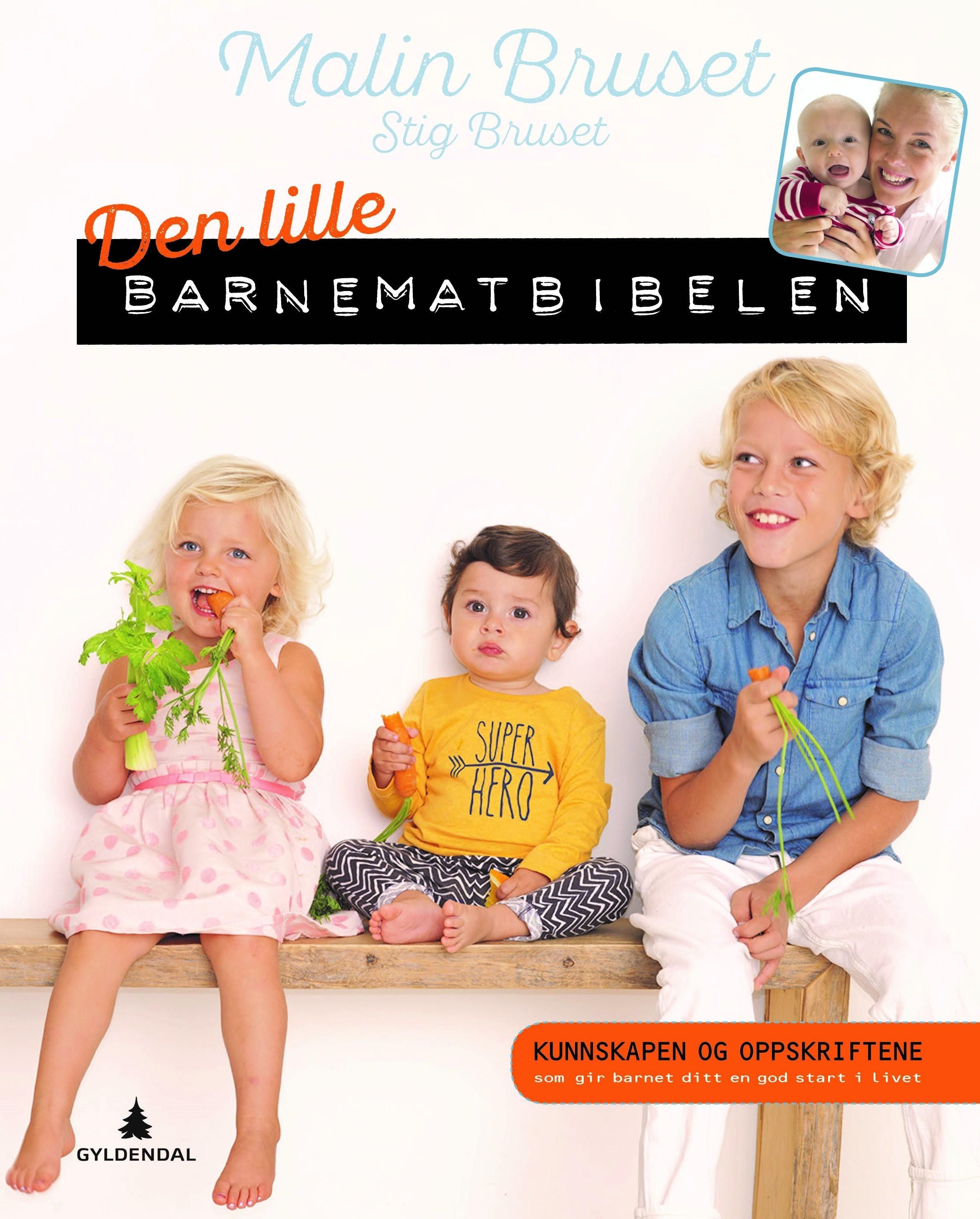 Den lille barnematbibelen : kunnskapen og oppskriftene som gir barnet ditt en god start i livet