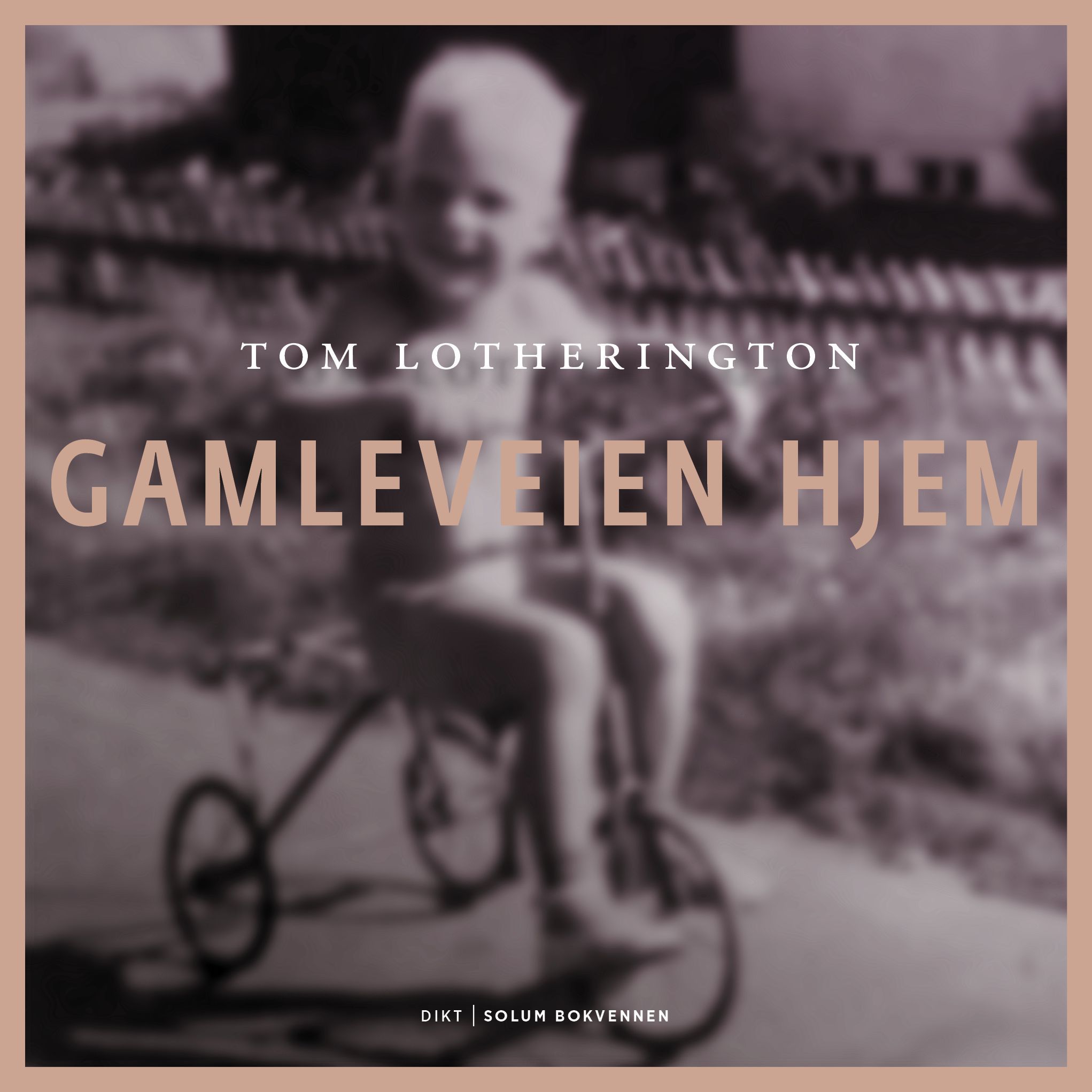 Gamleveien hjem : og andre dikt