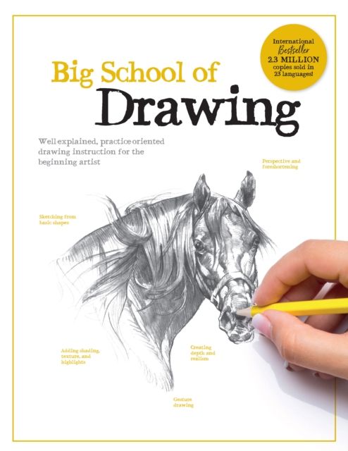 Big School of Drawing : Well-explained, practice-oriented drawing instruction for the beginning artist