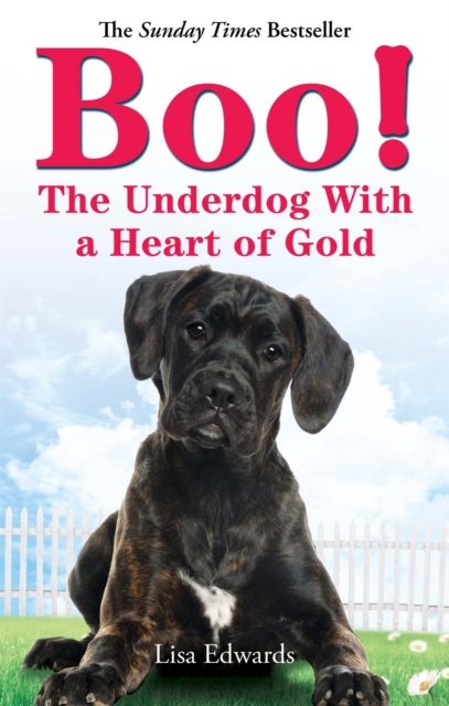 Boo! : The Underdog With a Heart of Gold