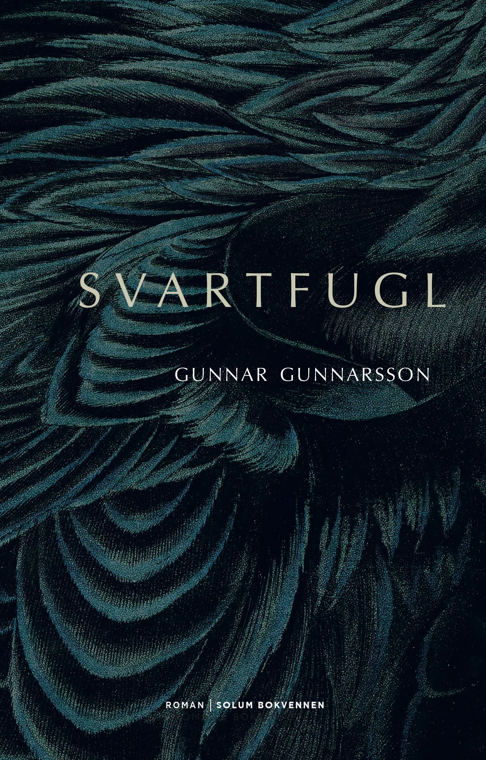 Svartfugl : roman