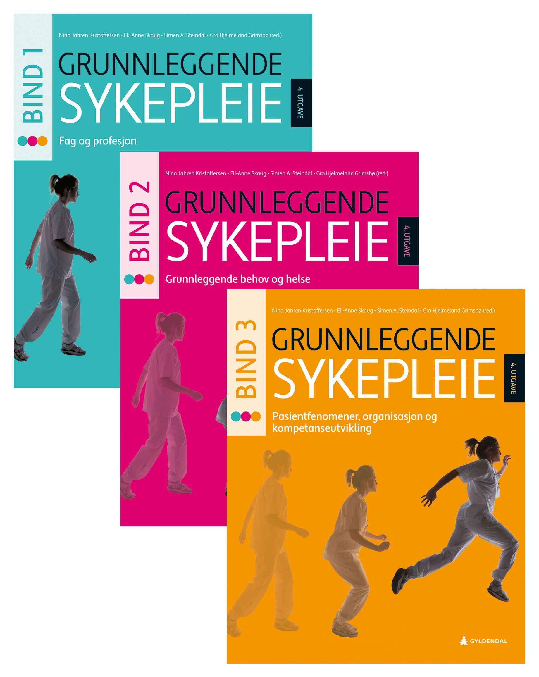 Grunnleggende sykepleie 1-3