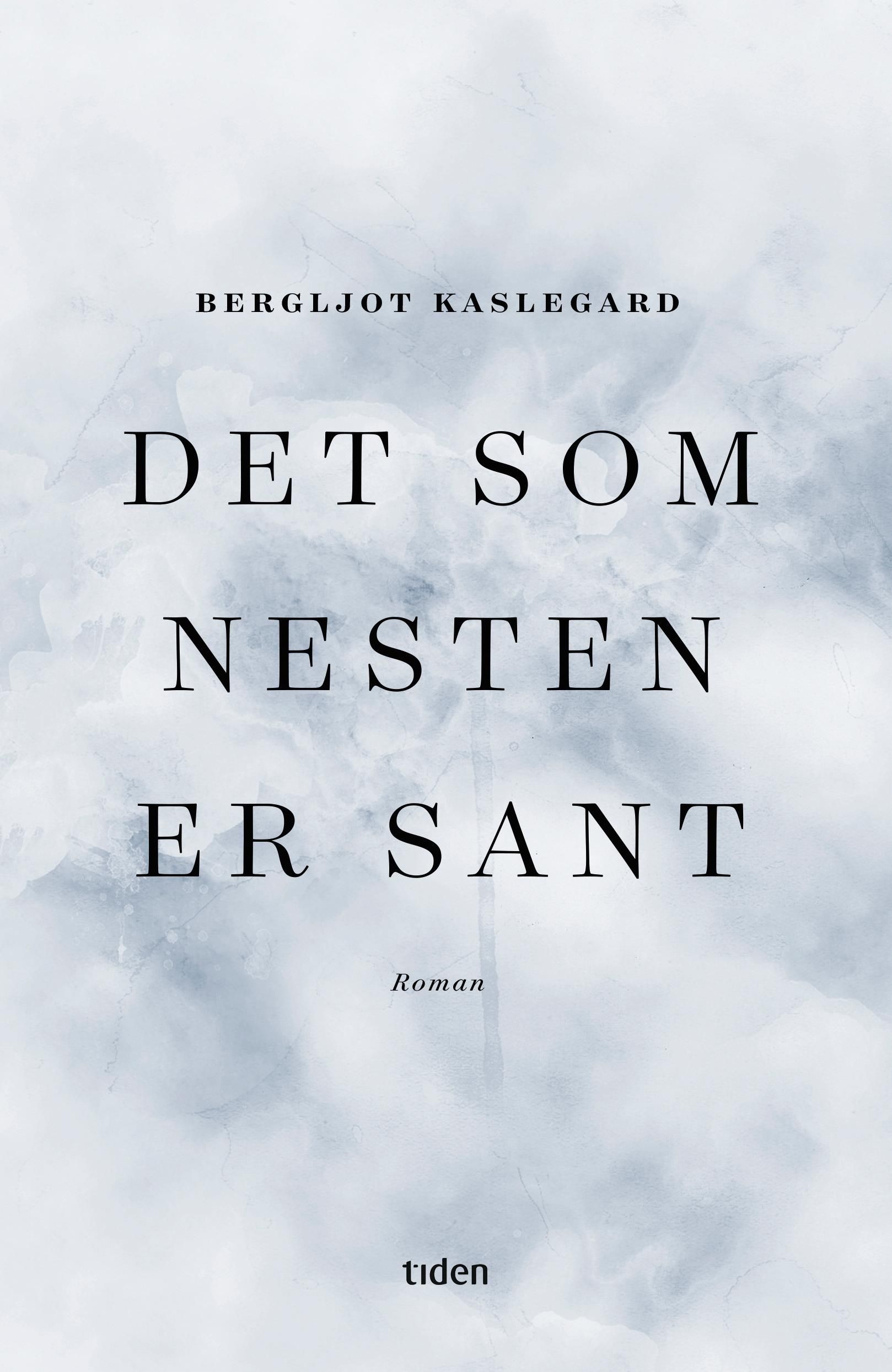 Det som nesten er sant : roman