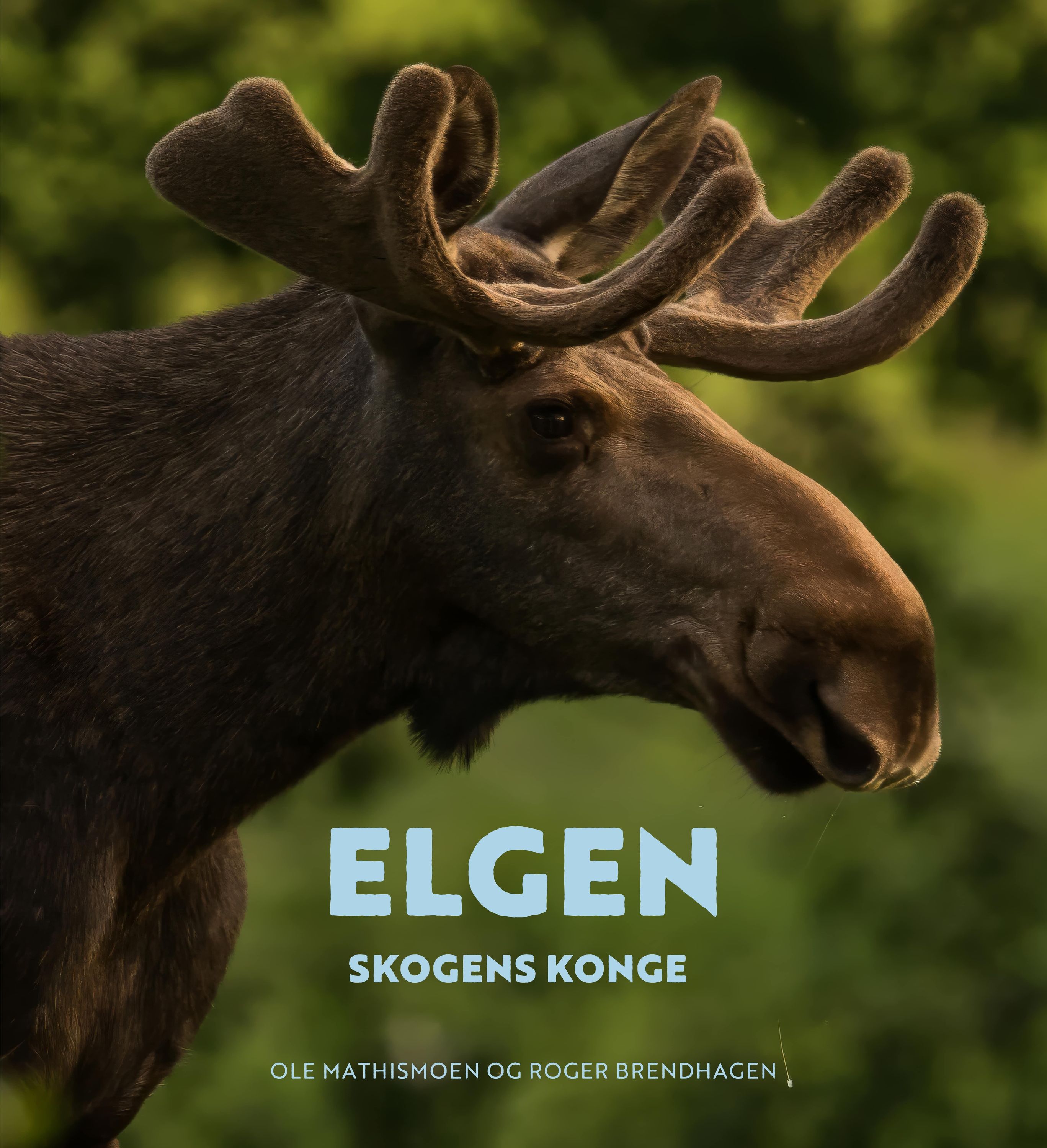 Elgen : skogens konge