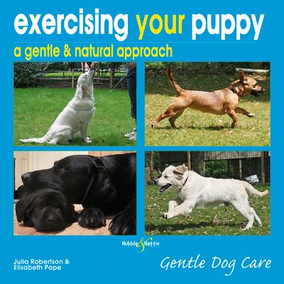 Forsidebilde av Exercising Your Puppy: a Gentle & Natural Approach : Gentle Dog Care
