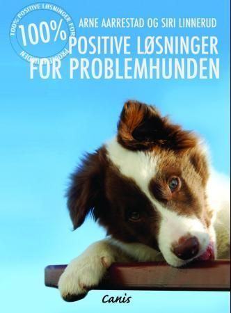 100 % positiv problemløsning