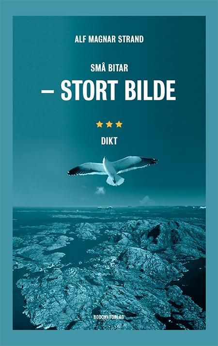 Små bitar - stort bilde : dikt