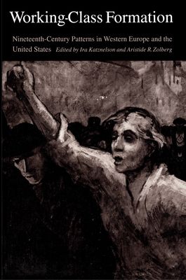 Working-Class Formation : Ninteenth-Century Patterns in Western Europe and the United States
