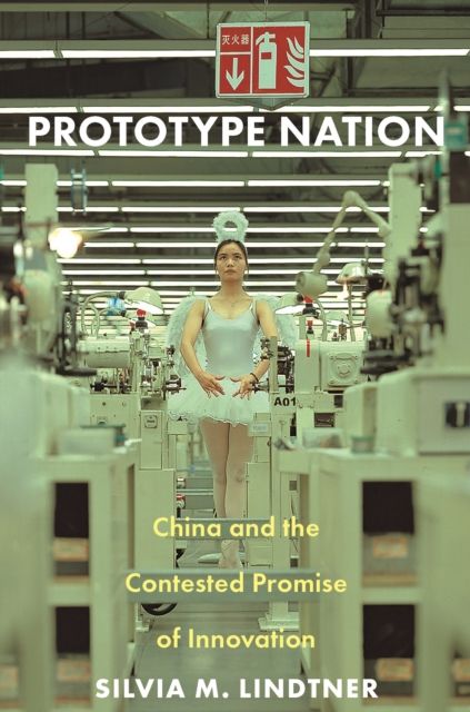 Prototype Nation : China and the Contested Promise of Innovation