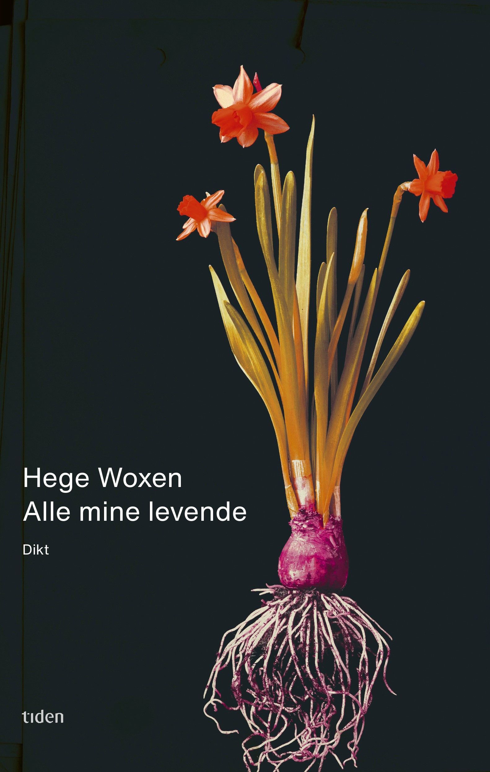 Forsidebilde av Alle mine levende : dikt