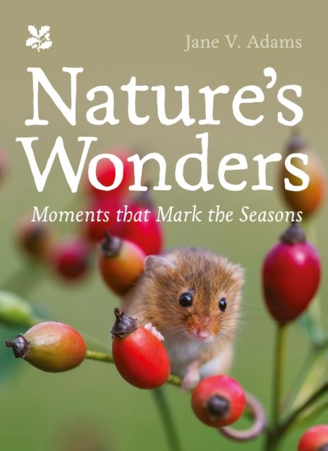 Nature’s Wonders : Moments That Mark the Seasons